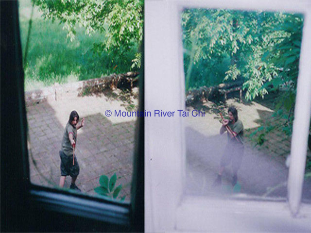 MRwebP13
